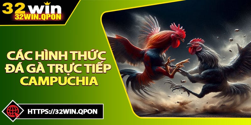 Các Hình Thức Đá Gà Trực Tiếp Campuchia Đang Thịnh Hành