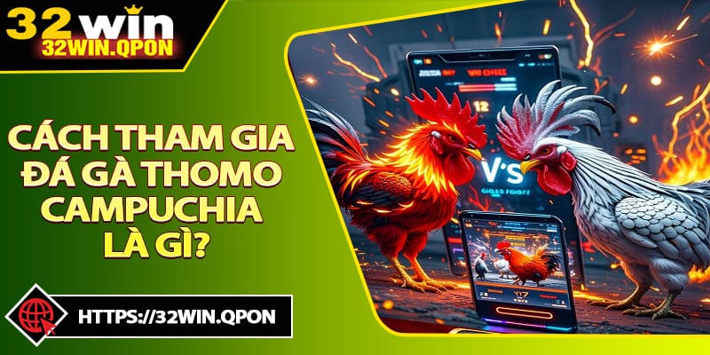 Cách Để Tham Gia Đá Gà Thomo Campuchia là gì?